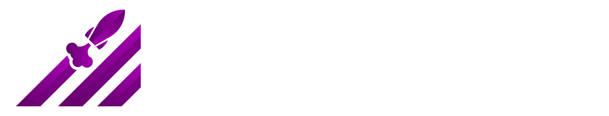 MAXIMUS INTERNET