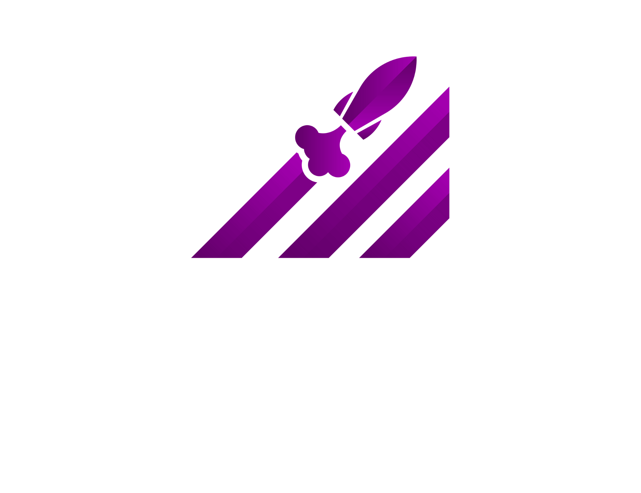 MAXIMUS INTERNET